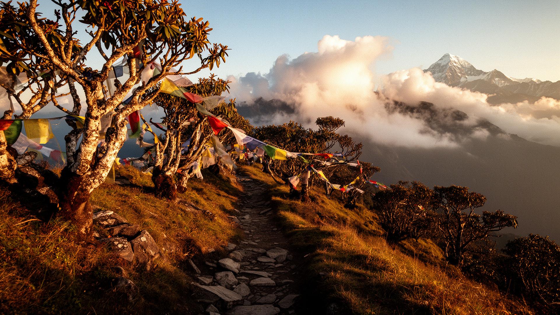 Prayer flags on Singalila Ridge trail